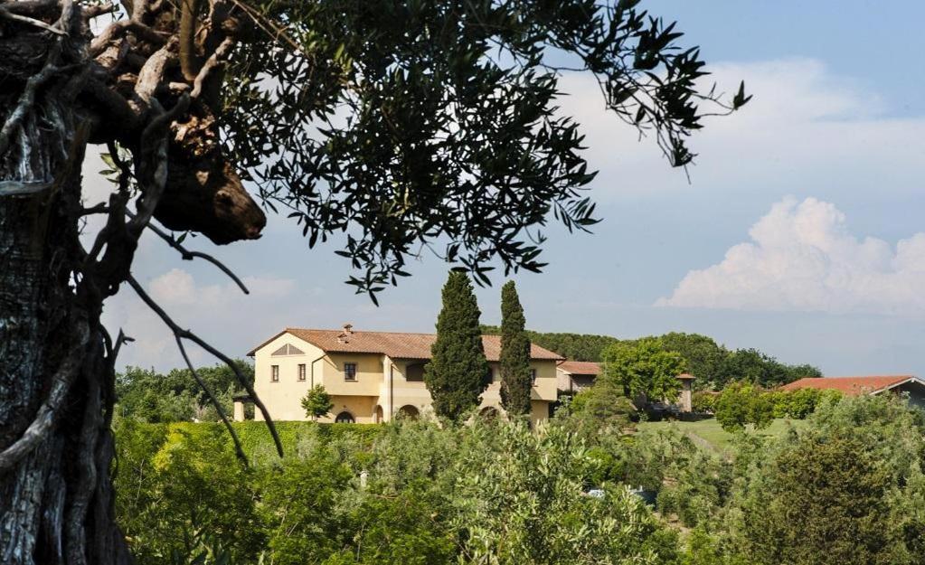 Agriturismo L'Antica Fornace Peccioli Zewnętrze zdjęcie